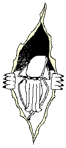 Cthulhu
